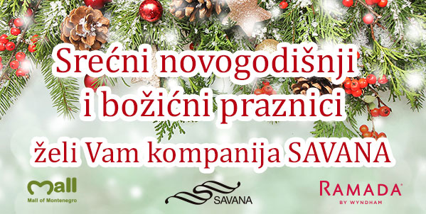 srecni godisnji i bozicni praznici verz1 sajt